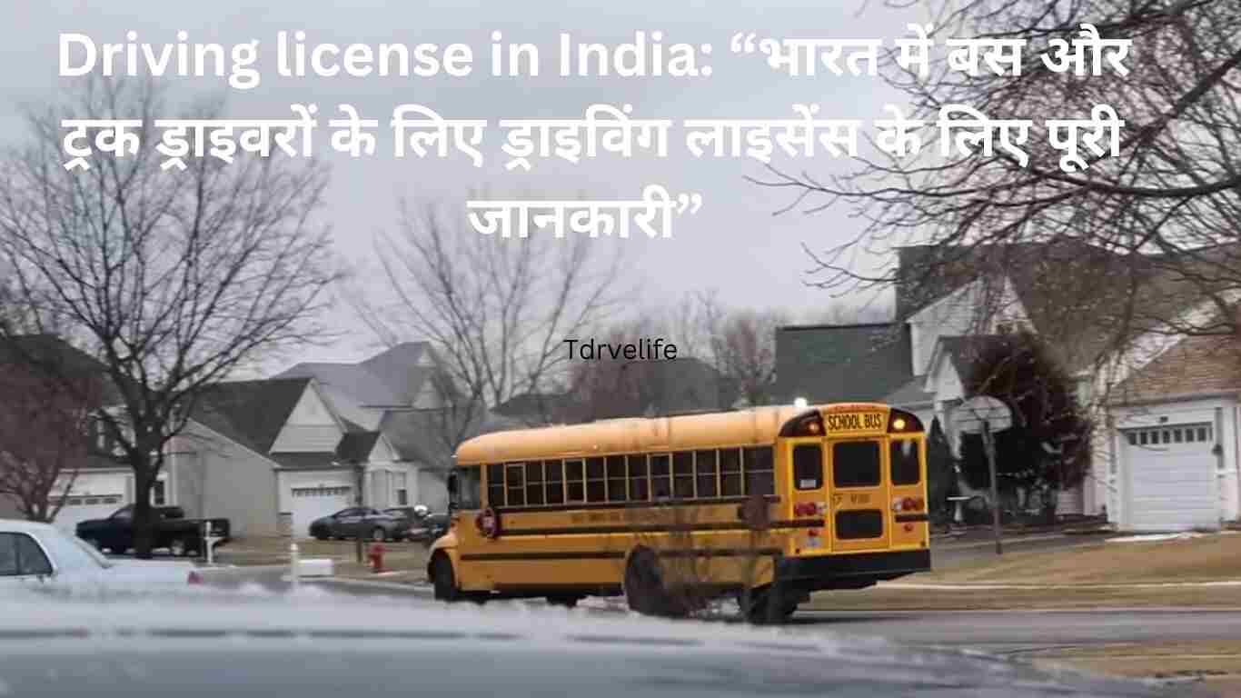 Driving license in India
